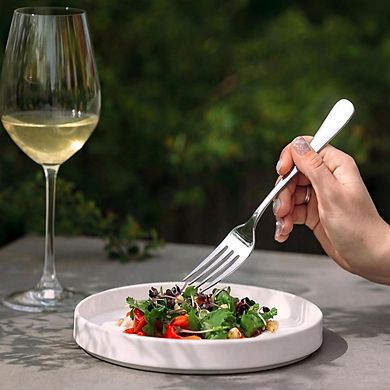Stainless Steel Flatware Set for 4, 20-Piece Mirror Polished, Dishwasher Safe