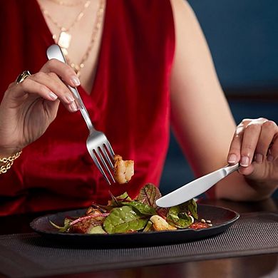 Stainless Steel Flatware Set for 4, 20-Piece Mirror Polished, Dishwasher Safe