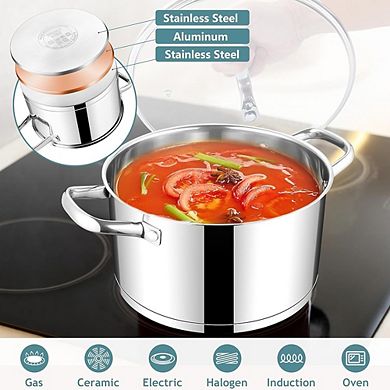 Stainless Steel Stock Pot with Lid, Tri-Ply Bottom, Induction & Dishwasher Safe