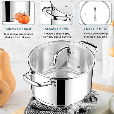 Stainless Steel Stock Pot with Lid, Tri-Ply Bottom, Induction & Dishwasher Safe