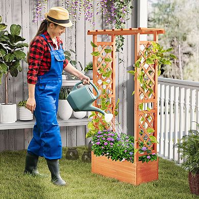 Raised Garden Bed Planter Box With Trellis Roof And Drainage