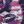 Paint Pink Violet