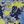 Paint Yellow Blue