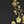Black Gold Floral
