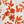 Orange Red And White