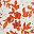 Orange Red And White
