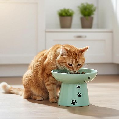 Ceramic Elevated Slow Feeder Cat Bowl Anti Vomiting Raised Fishbone Design Shallow Stable
