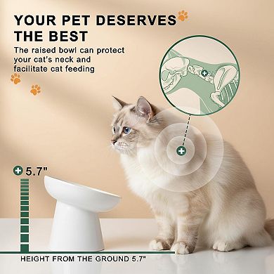 Ceramic Elevated Slow Feeder Cat Bowl Anti Vomiting Raised Fishbone Design Shallow Stable