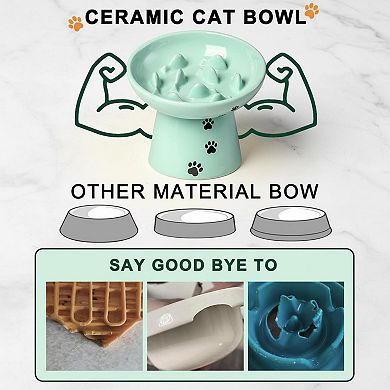Ceramic Elevated Slow Feeder Cat Bowl Anti Vomiting Raised Fishbone Design Shallow Stable