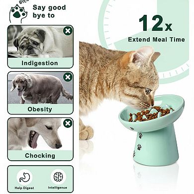 Ceramic Elevated Slow Feeder Cat Bowl Anti Vomiting Raised Fishbone Design Shallow Stable