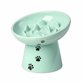 Ceramic Elevated Slow Feeder Cat Bowl Anti Vomiting Raised Fishbone Design Shallow Stable
