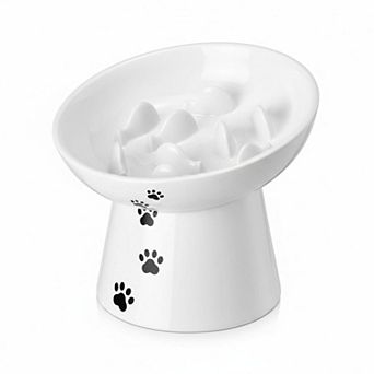 Ceramic Elevated Slow Feeder Cat Bowl Anti Vomiting Raised Fishbone Design Shallow Stable