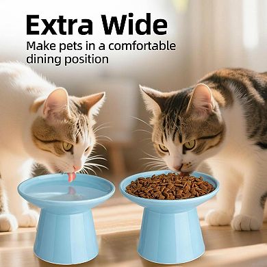62 Inch Extra Wide Elevated Ceramic Cat Bowl Set Whisker Friendly Sturdy Dishwasher Safe for Elder