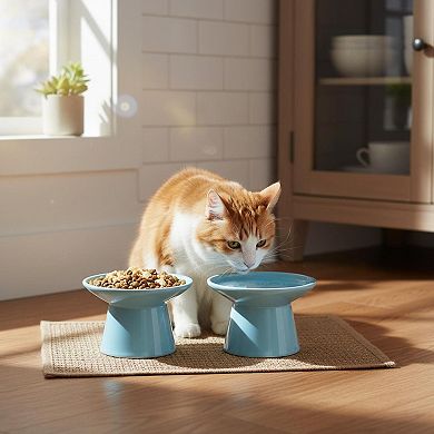 62 Inch Extra Wide Elevated Ceramic Cat Bowl Set Whisker Friendly Sturdy Dishwasher Safe for Elder