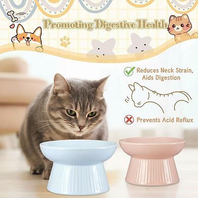 2 Pack Raised Slow Feeder Ceramic Cat Dog Bowl Anti Vomiting Elevated
