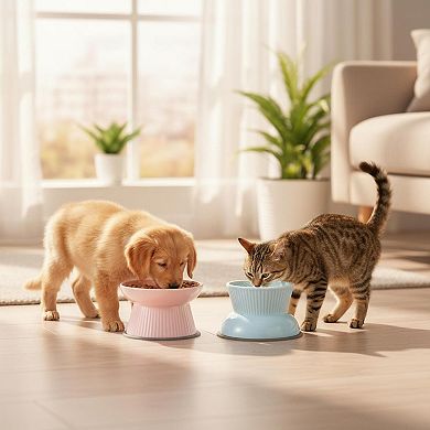 2 Pack Raised Slow Feeder Ceramic Cat Dog Bowl Anti Vomiting Elevated