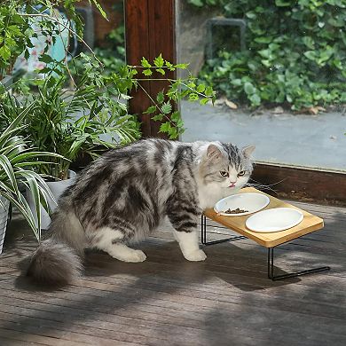 15° Tilted Elevated Cat Bowl Set Ceramic Food Water Dishes for Cats Puppy