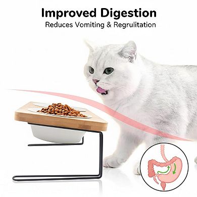 15° Tilted Elevated Cat Bowl Set Ceramic Food Water Dishes for Cats Puppy