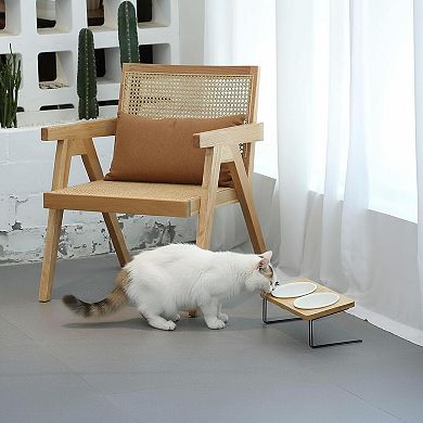 15° Tilted Elevated Cat Bowl Set Ceramic Food Water Dishes for Cats Puppy