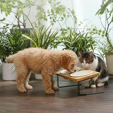15° Tilted Elevated Cat Bowl Set Ceramic Food Water Dishes for Cats Puppy