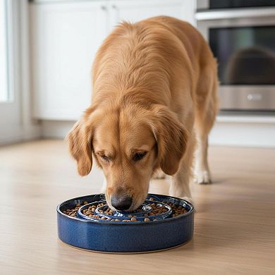 Ceramic Slow Feeder Dog Bowl Puzzle Fast Eater Non-Toxic Sturdy Dishwasher Safe