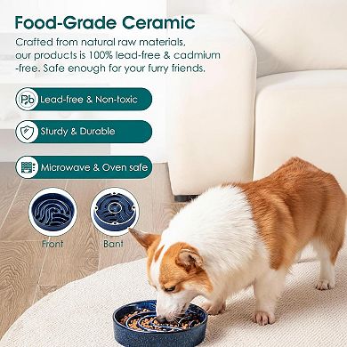 Ceramic Slow Feeder Dog Bowl Puzzle Fast Eater Non-Toxic Sturdy Dishwasher Safe