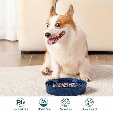 Ceramic Slow Feeder Dog Bowl Puzzle Fast Eater Non-Toxic Sturdy Dishwasher Safe