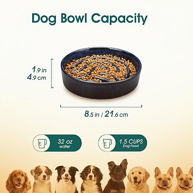 Ceramic Slow Feeder Dog Bowl Puzzle Fast Eater Non-Toxic Sturdy Dishwasher Safe
