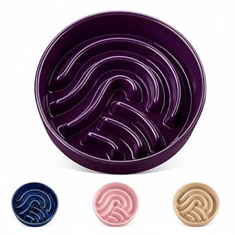 Ceramic Slow Feeder Dog Bowl Puzzle Fast Eater Non-Toxic Sturdy Dishwasher Safe