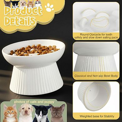2 Ceramic Raised Slow Feeder Bowls for Cats Dogs Elevated No Spill Easy Clean Dishwasher Safe
