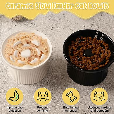 2 Ceramic Raised Slow Feeder Bowls for Cats Dogs Elevated No Spill Easy Clean Dishwasher Safe