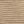 Jute