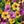 Purplish Yellow