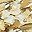 Wheat
