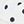 White Dot