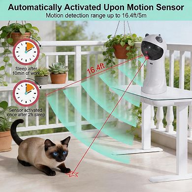 Splendid Frame Cat Toy