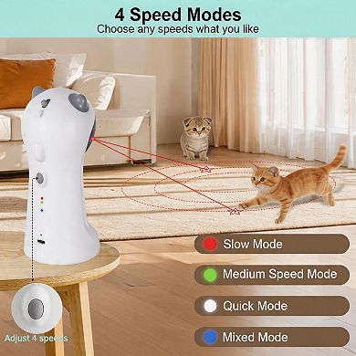 Splendid Frame Cat Toy