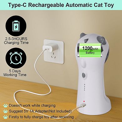 Splendid Frame Cat Toy