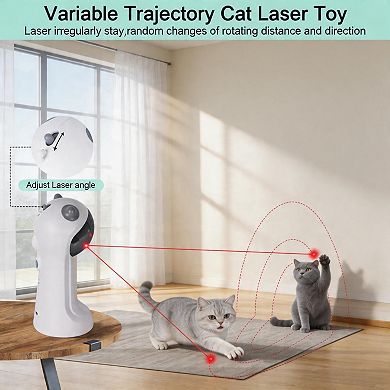 Splendid Frame Cat Toy