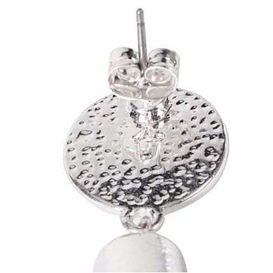 WinCraft Wisconsin Badgers Team Post Earrings
