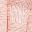 Pink Pampas