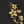 Black Gold