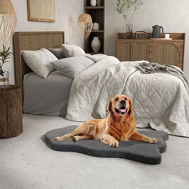 Orthopedic Memory Foam Dog Bed with Waterproof Cover