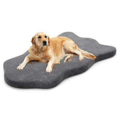 Orthopedic Memory Foam Dog Bed with Waterproof Cover