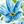 Blue Anemone
