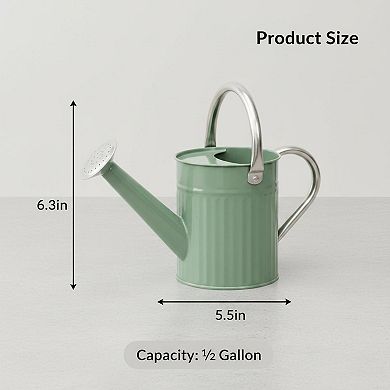 Stainless Steel Watering Can Detachable Spout Ergonomic Handles Durable Decorative