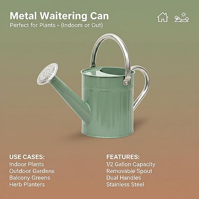 Stainless Steel Watering Can Detachable Spout Ergonomic Handles Durable Decorative