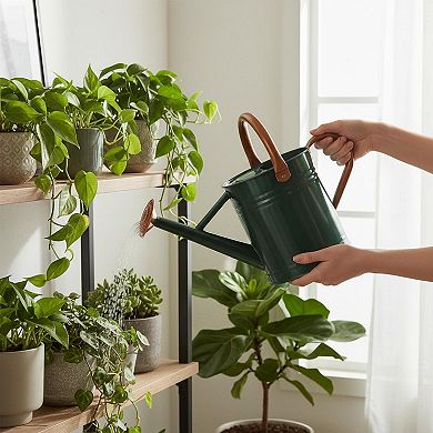 Steel Watering Can Galvanized Copper Accents Removable Rosette Diffuser 1 Gallon Multifunctional