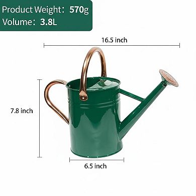 Steel Watering Can Galvanized Copper Accents Removable Rosette Diffuser 1 Gallon Multifunctional