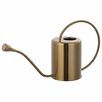 Stainless Steel Watering Can 2L Long Spout Removable Spray for Indoor Outdoor Gardening